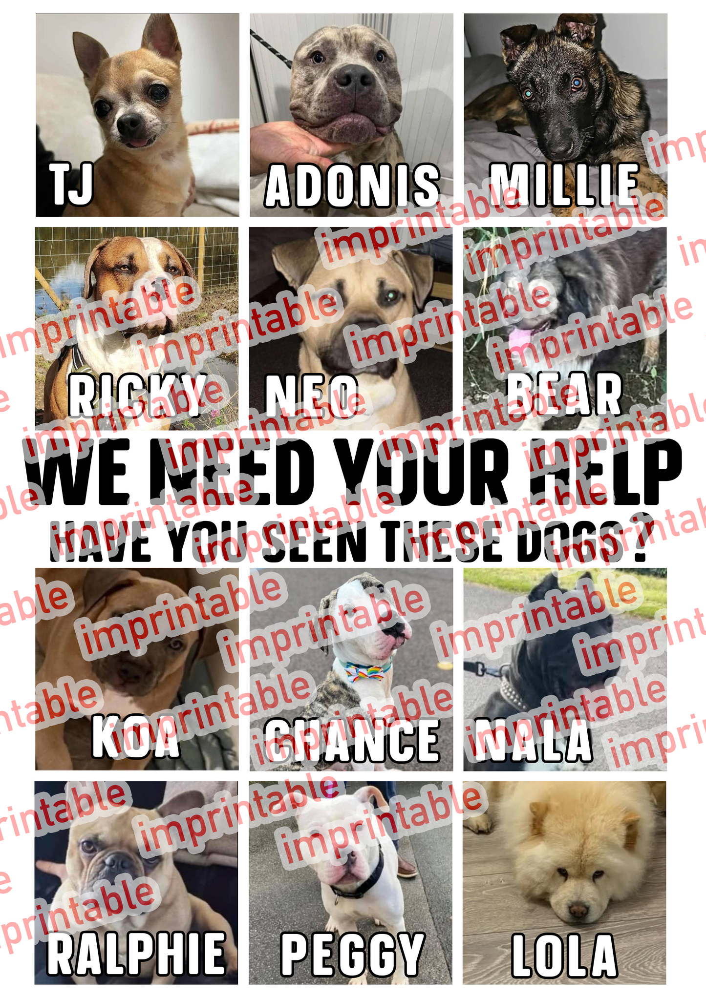 Save a Paw Missing Dogs T-Shirt