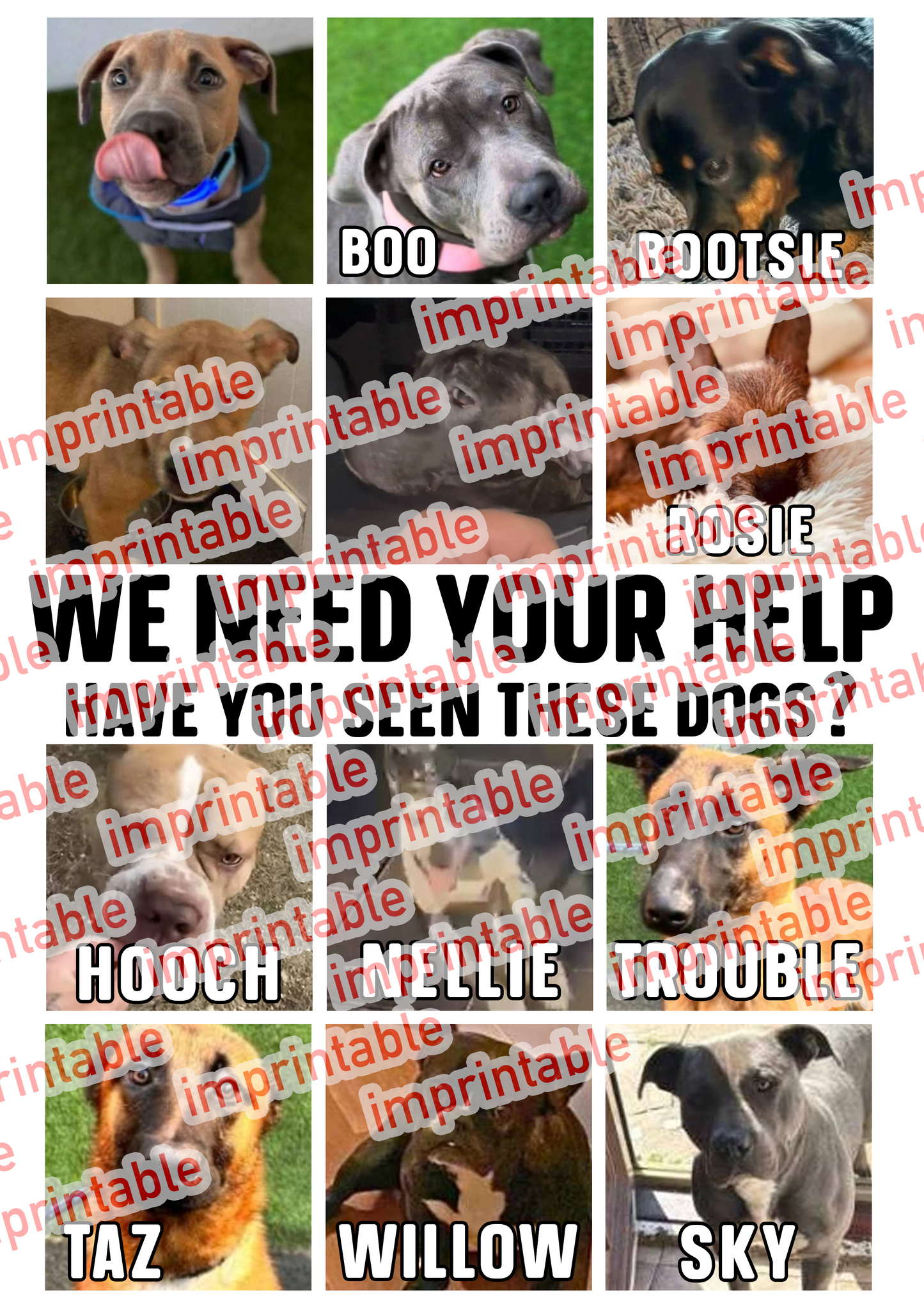 Save a Paw Missing Dogs T-Shirt