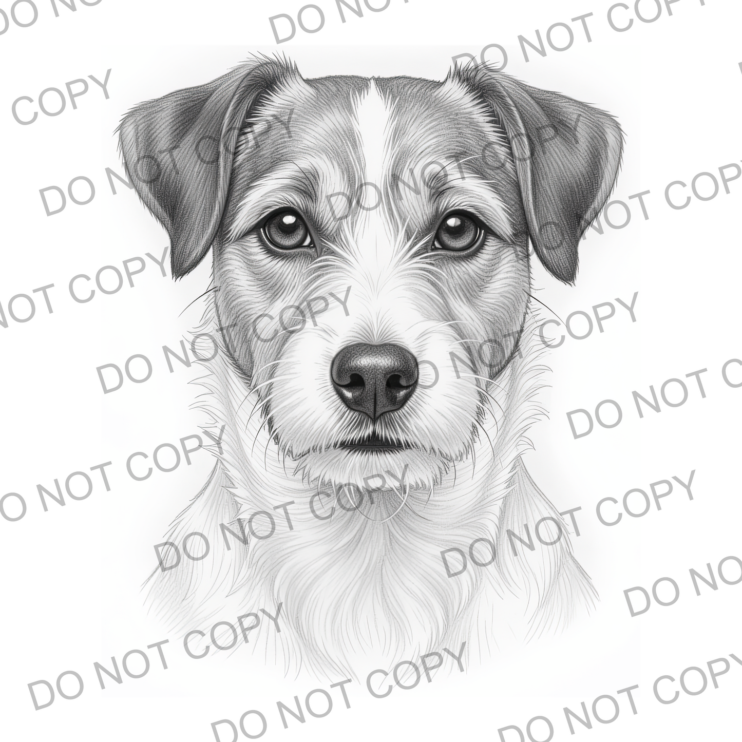 Sketchy Jack Russell (limited to 15)