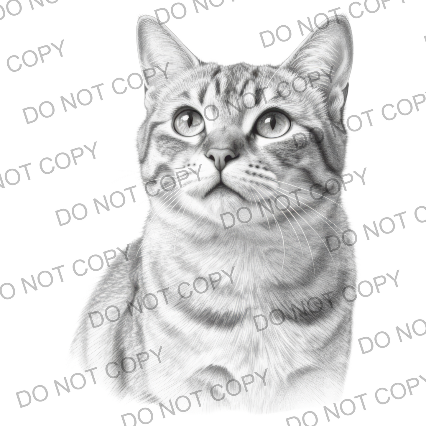 Sketchy Tabby Cat (limited to 15)