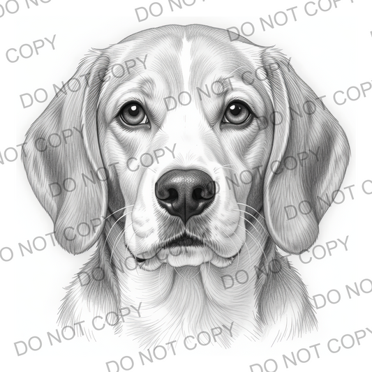 Sketchy Beagle (limited to 15)