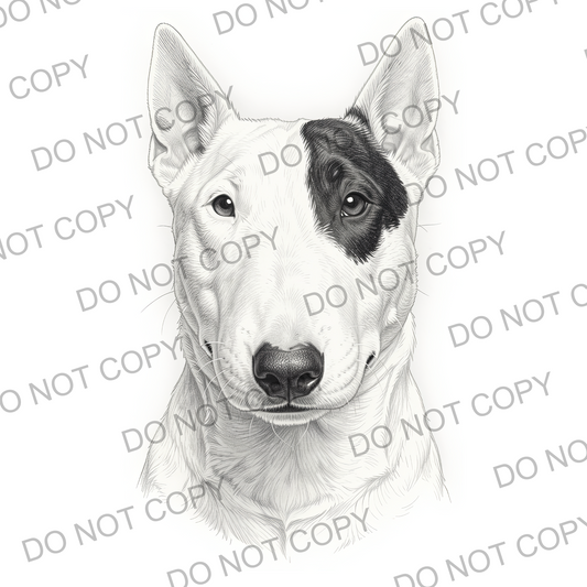 Sketchy Bull Terrier (limited to 15)