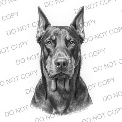 Sketchy Doberman (limited to 15)