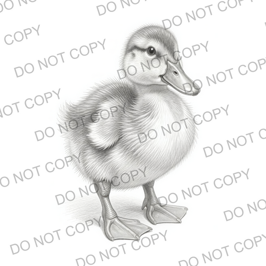 Sketchy Duckling (limited to 15)
