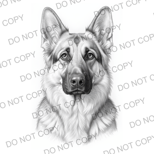 Sketchy German Shepherd (limited to 15)