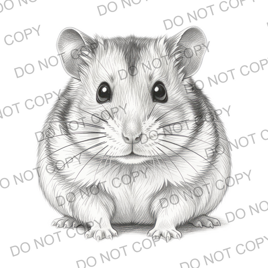 Sketchy Hamster (limited to 30) FREE TASTER