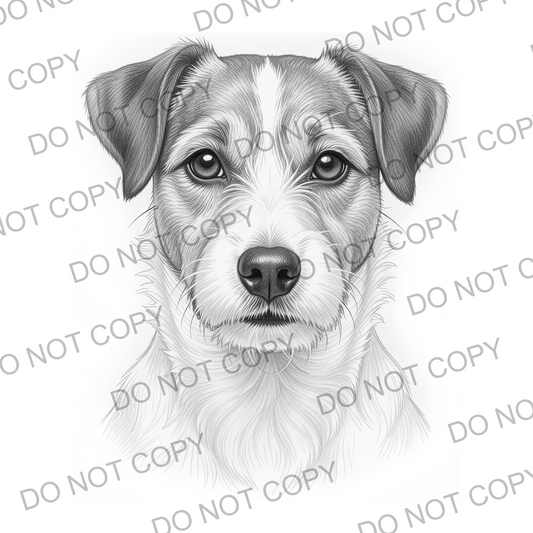 Sketchy Jack Russell (limited to 15)