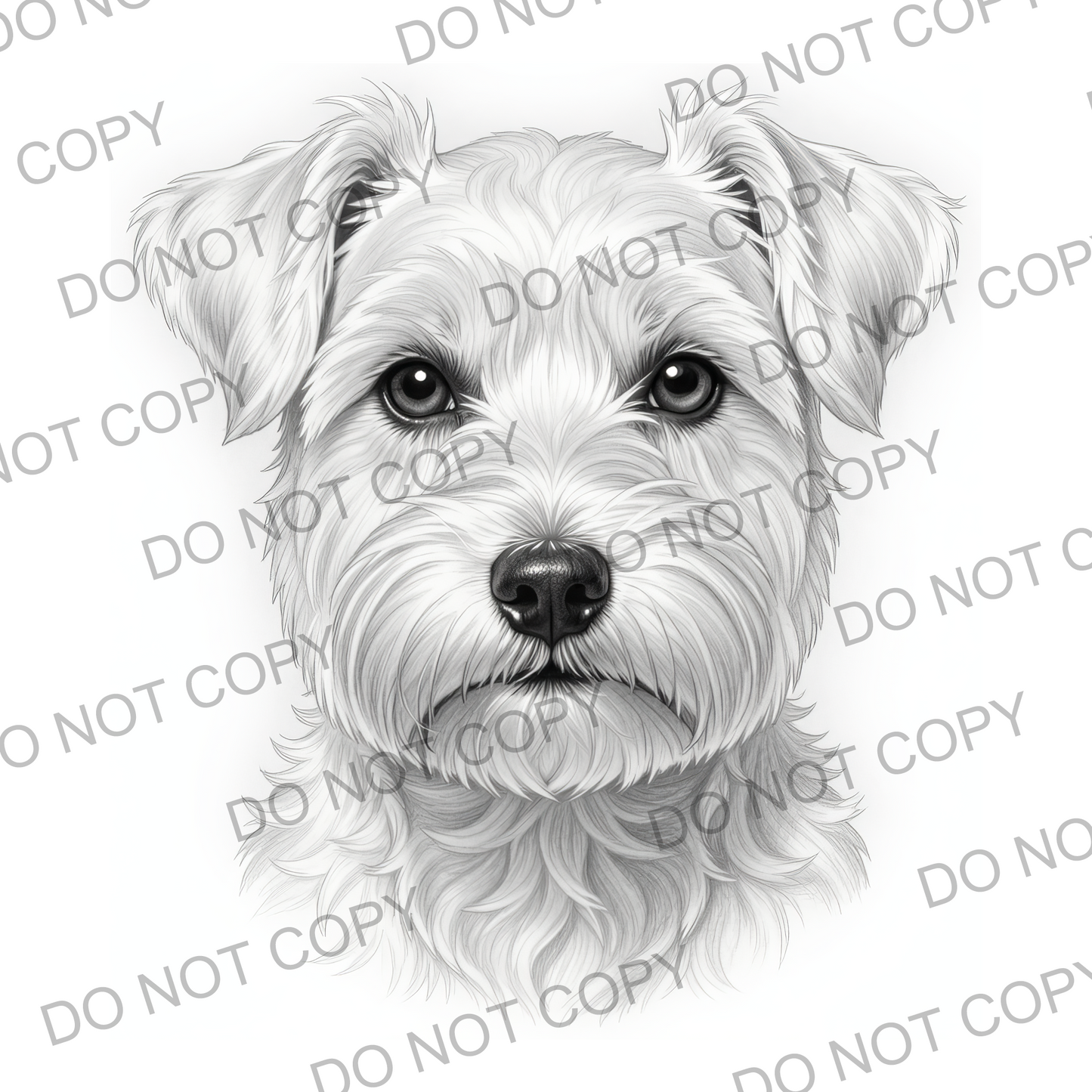 Sketchy Miniature Schnauzer (limited to 15)