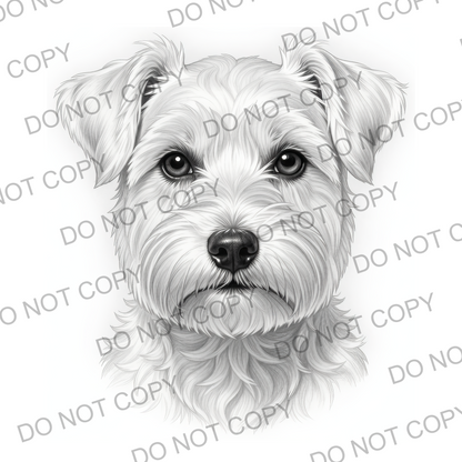 Sketchy Miniature Schnauzer (limited to 15)
