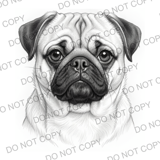 Sketchy Pug (limited to 15)