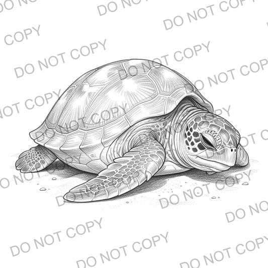 Sketchy Sea Turtle (limited to 15)