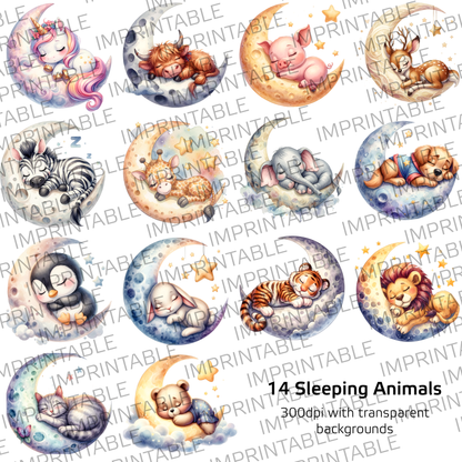 Sleeping Animals Designs - Set of 14