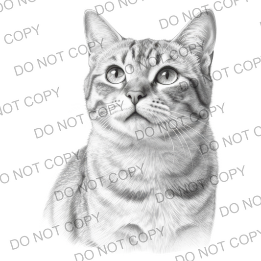 Sketchy Tabby Cat (limited to 15)