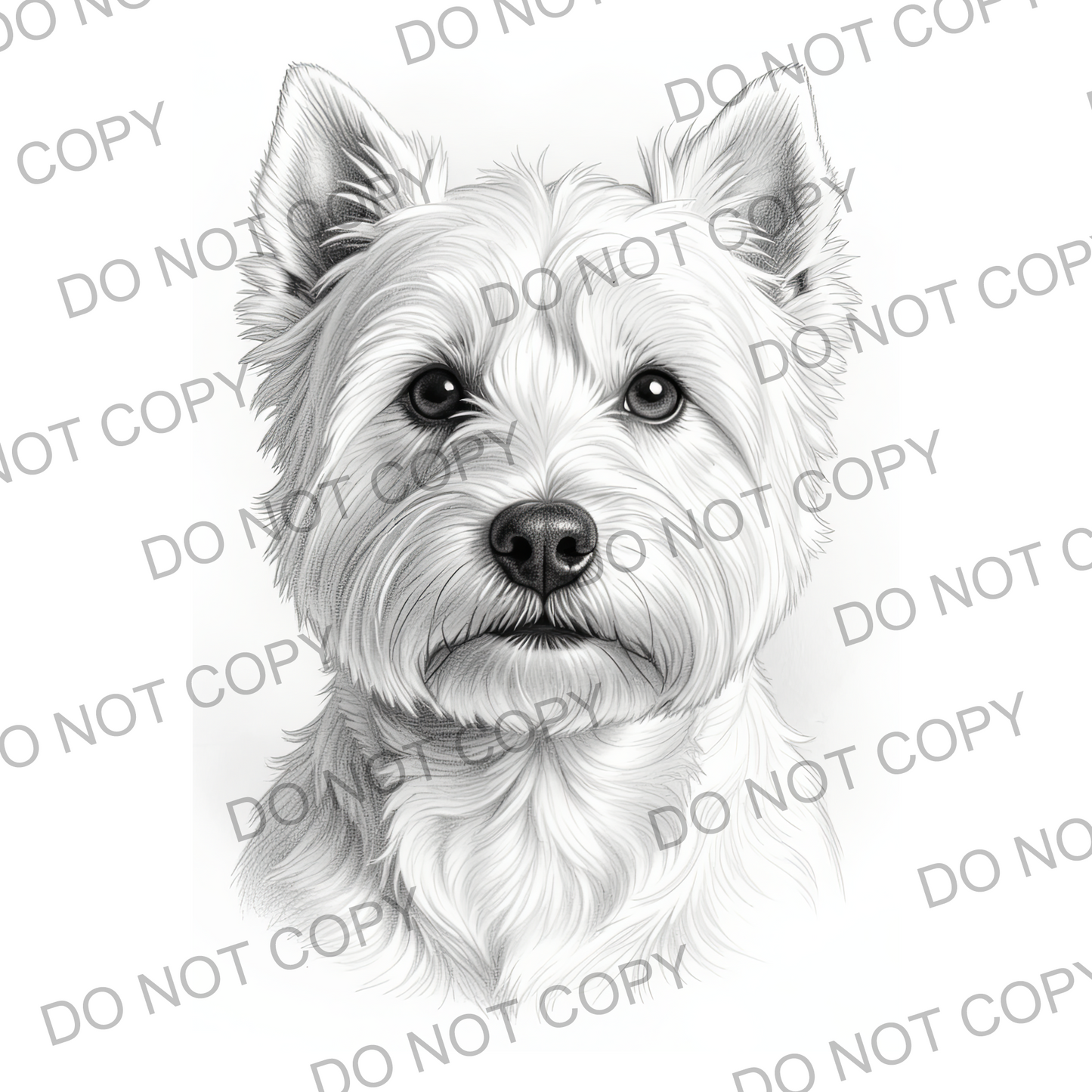 Sketchy West Highland Terrier (limited to 15)