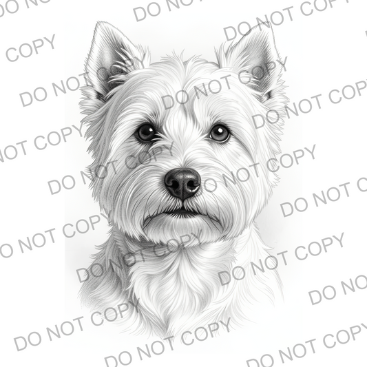 Sketchy West Highland Terrier (limited to 15)